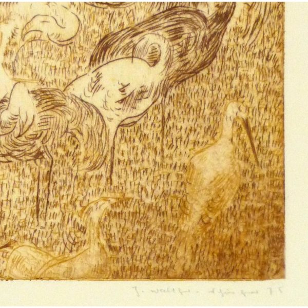Aquatint Etching Flamingoes 9154m