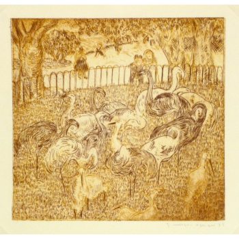 Vintage Aquatint Etching Flamingoes 9154