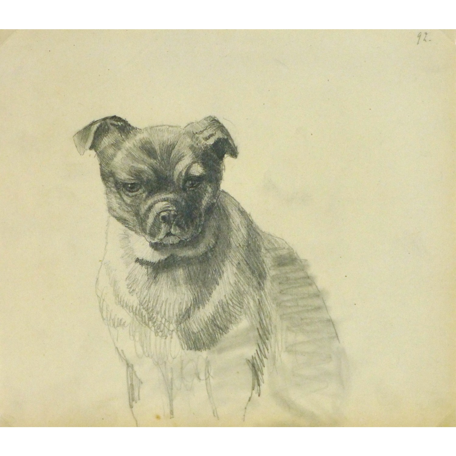 Antique Pencil Drawing Puppy Dog - 9189m