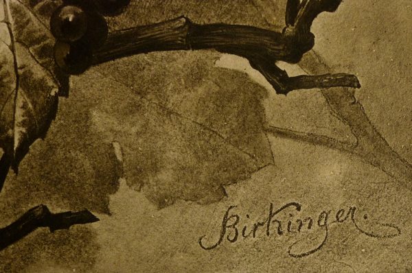 Grape Vines Lithograph-detail-KB1646