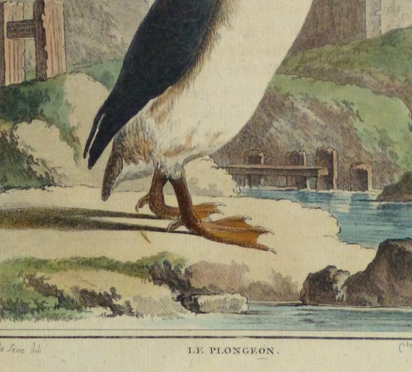 Loon Print, Circa 1770-detail-10421M