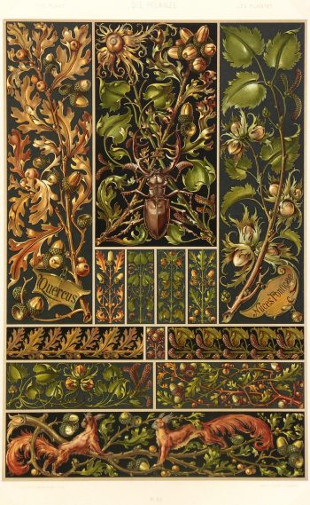 Lithograph - Nature's Interiors, 1886-main-5629K