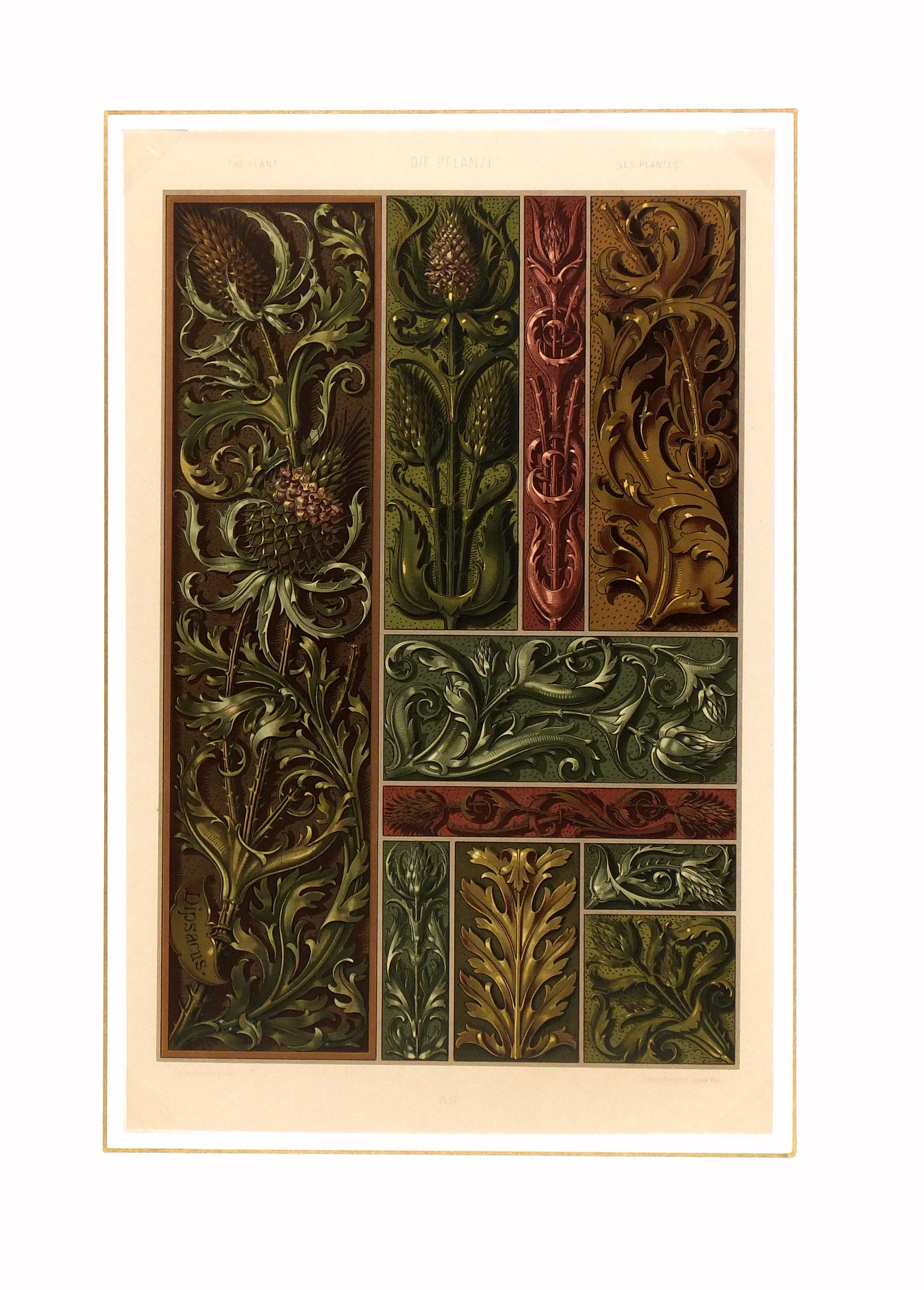 Interior Decor Print, 1886-matted-5632K