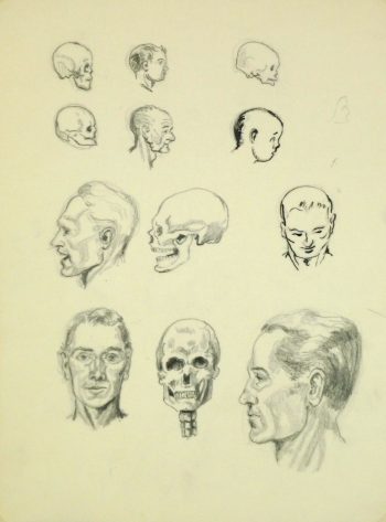 Drawing - Cranium Study, Circa 1960-main-8249K
