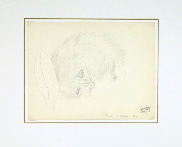 Drawing - Sleeping Cat, Circa 1990-matted-8292K