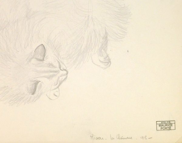 Drawing - Sleeping Cat, Circa 1990-detail-8292K