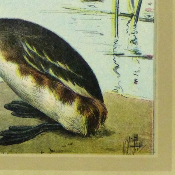 Great Crested Grebe Print, Circa 1920-detail-9216K