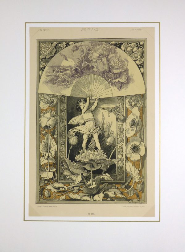 Delicate Garden Antique Print, 1886-matted-KB1651