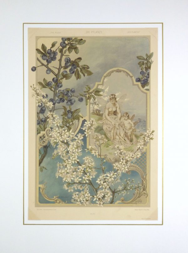 Angels & Blueberries, 1886-matted-KB1656