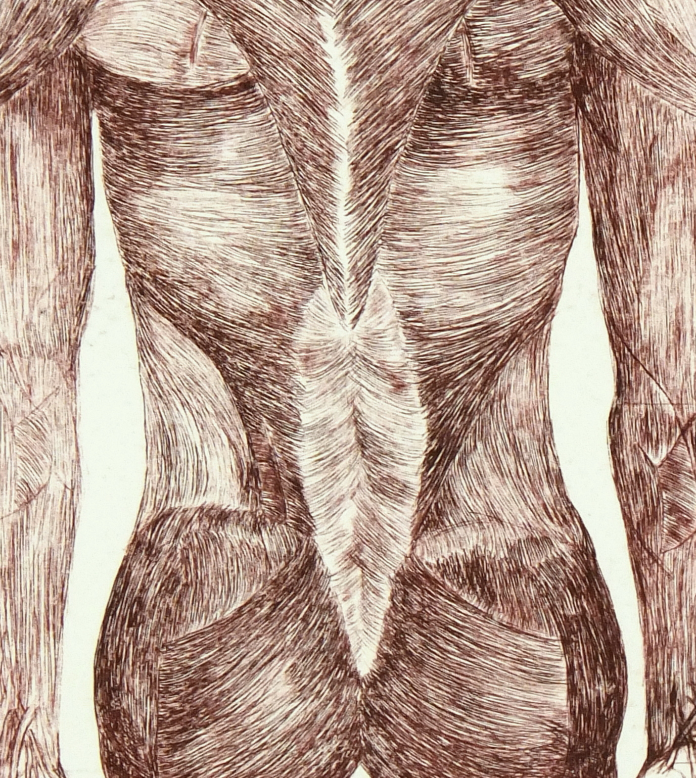 Aquatint - Anatomia, 2012-detail-6081G
