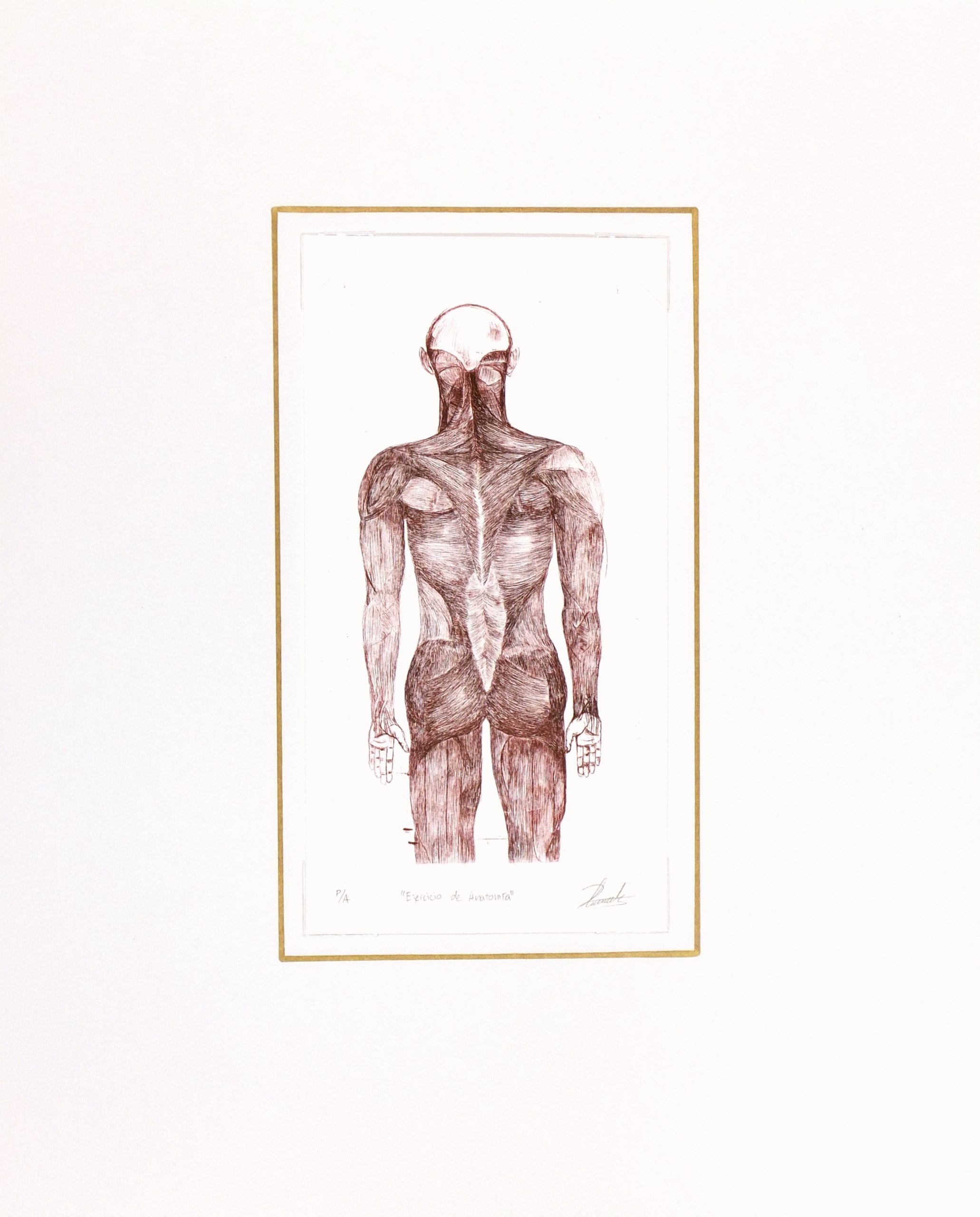 Aquatint - Anatomia, 2012-matted-6081G