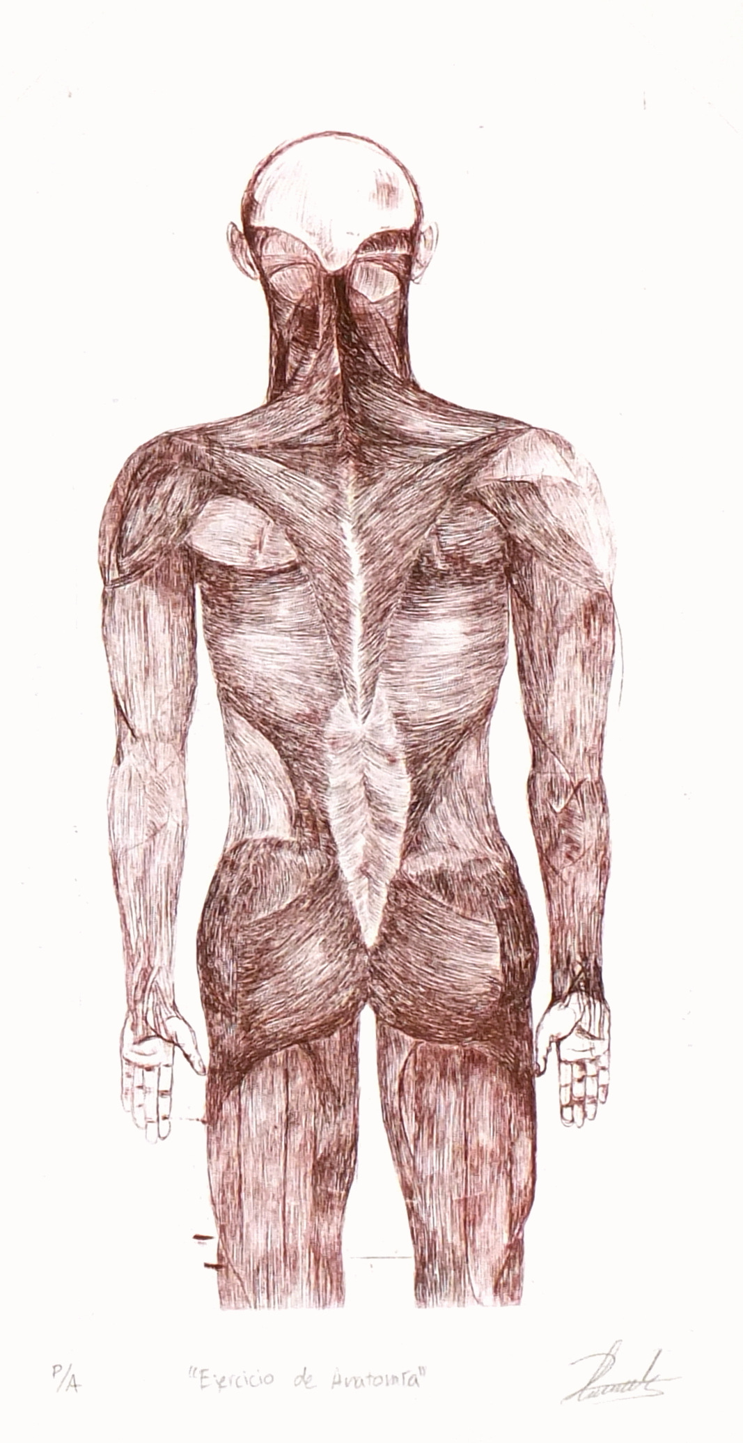 Aquatint - Anatomia, 2012-main-6081G