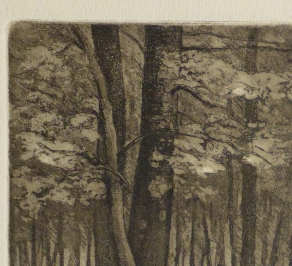 Etching - Isolated, 1984-detail2-10748M