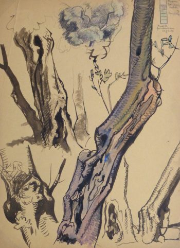 Ink Wash - Tree Study, Circa 1930-main-kla2418