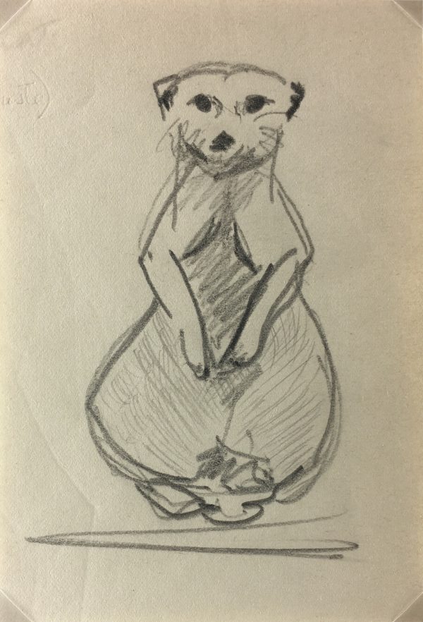 Animals Original Art - Mongoose, Zoo de Vincennes, 2007