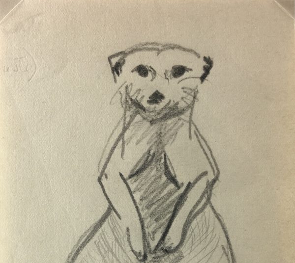Animals Original Art - Mongoose, Zoo de Vincennes, 2007