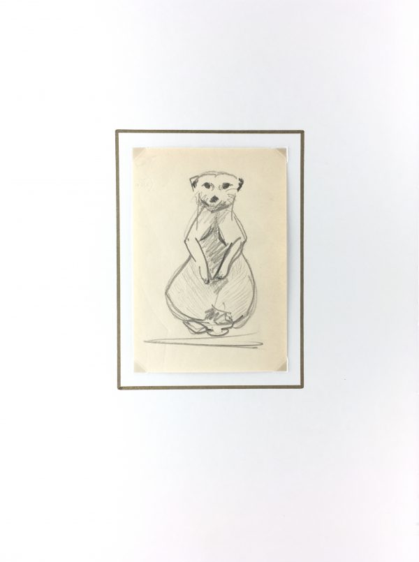 Animals Original Art - Mongoose, Zoo de Vincennes, 2007