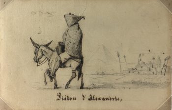 Animals Original Art - From Alexandria, Egypt, c.1870
