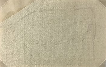 Animals Original Art - Animal, Giselle Halff, 1959