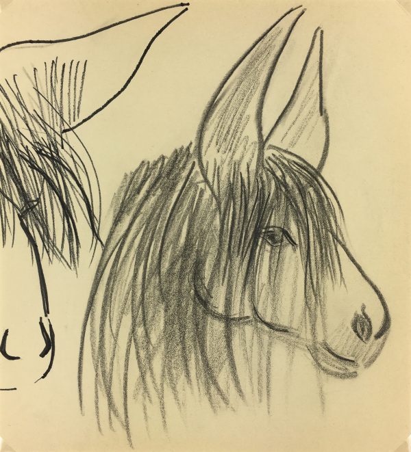 Animals Original Art - Poitou Donkey, French, 2000s