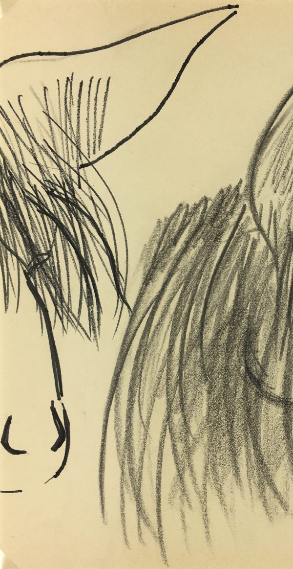 Animals Original Art - Poitou Donkey, French, 2000s