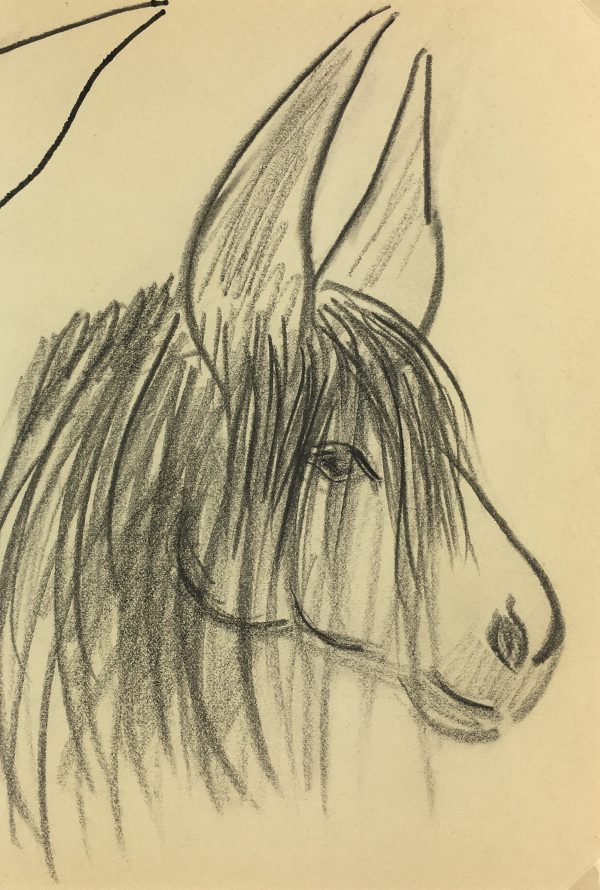 Animals Original Art - Poitou Donkey, French, 2000s
