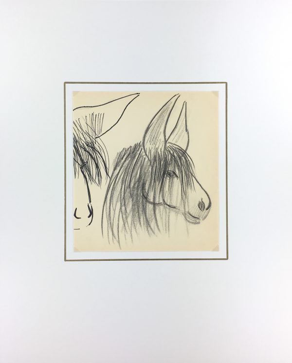 Animals Original Art - Poitou Donkey, French, 2000s