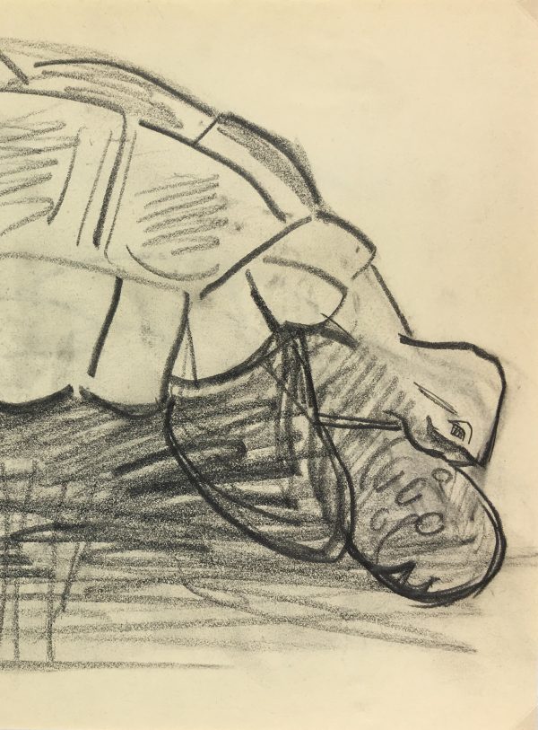 Animals Original Art - Giant Turtle, Jardin de Plantes, 1993