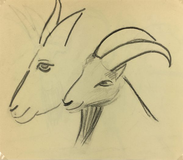 Animals Original Art - Caucasian Goat, French, 2000s