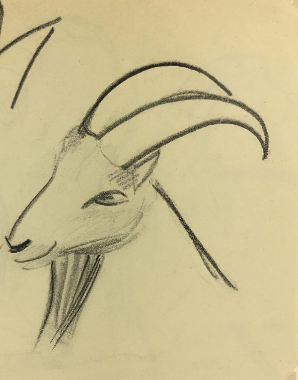 Animals Original Art - Caucasian Goat, French, 2000s