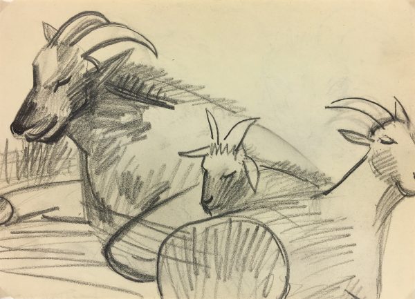 Animals Original Art - Tibetan Goat, French, 2000s