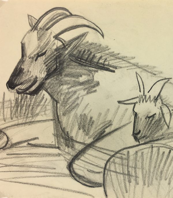 Animals Original Art - Tibetan Goat, French, 2000s