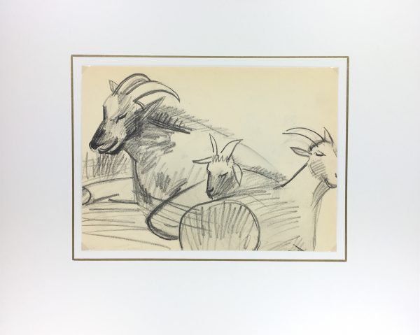 Animals Original Art - Tibetan Goat, French, 2000s