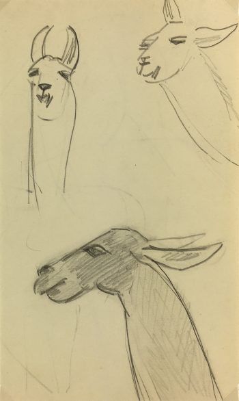 Animals Original Art - Llamas, French, 2000s