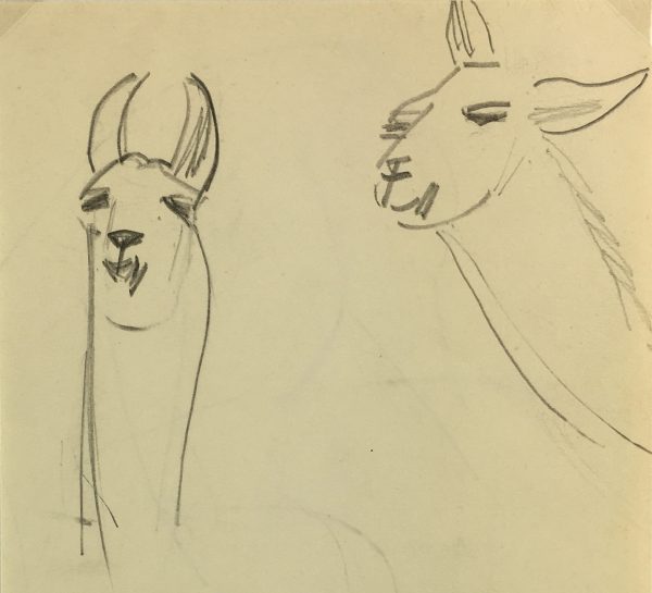 Animals Original Art - Llamas, French, 2000s