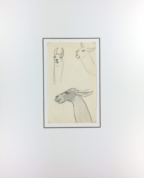 Animals Original Art - Llamas, French, 2000s