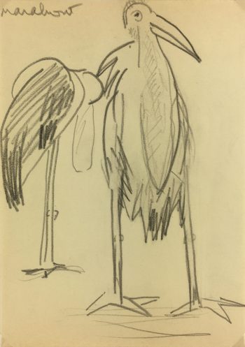 Animals Original Art - Marabou Stork, French, 2000s