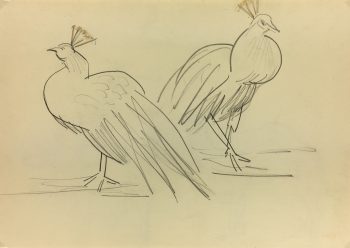 Animals Original Art - White Peacocks, French, 2000s