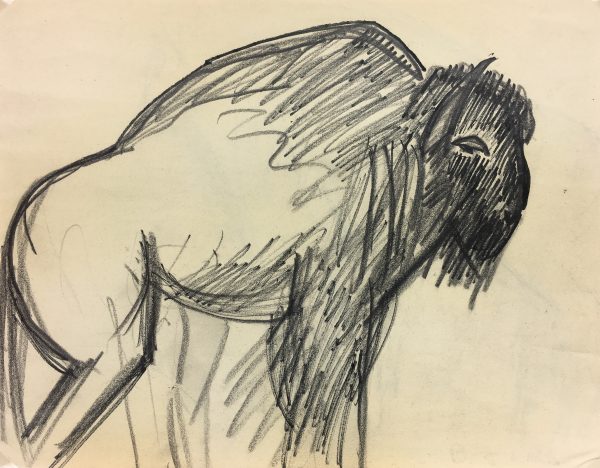 Animals Original Art - Buffalo, French, 2000s