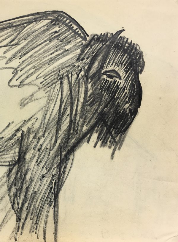 Animals Original Art - Buffalo, French, 2000s