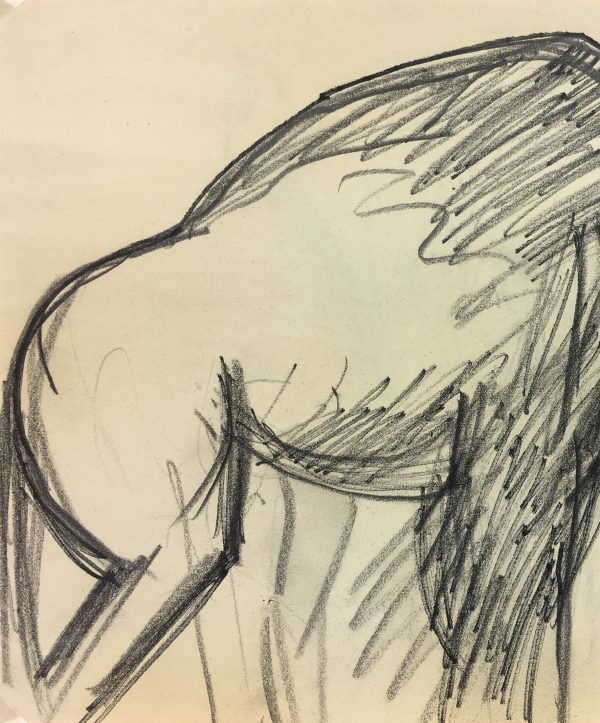 Animals Original Art - Buffalo, French, 2000s