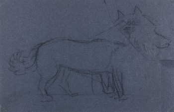 Animals Original Art - Dog, Giselle halff, 1959