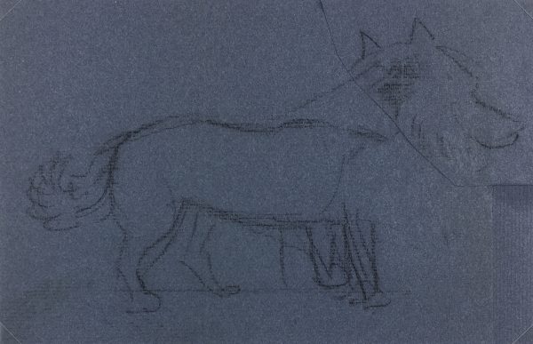 Animals Original Art - Dog, Giselle halff, 1959