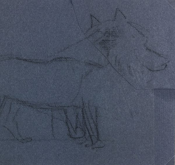 Animals Original Art - Dog, Giselle halff, 1959