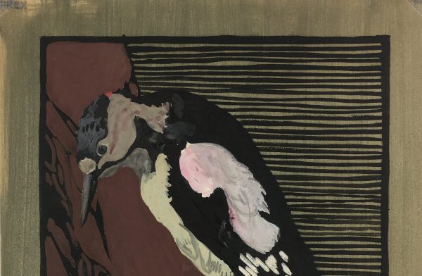 Animals Original Art - Woodpecker, Frey, c.1920