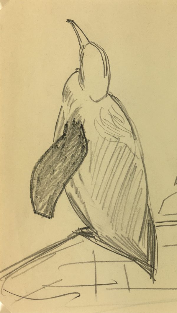 Animals Original Art - Penguins, Zoo de Vincennes, 1995