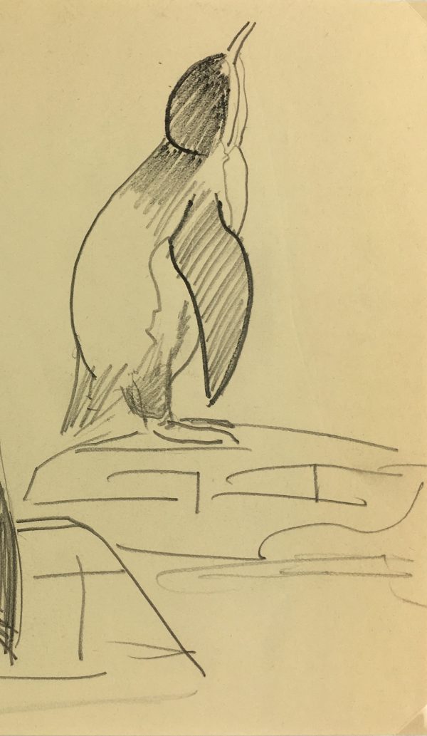 Animals Original Art - Penguins, Zoo de Vincennes, 1995
