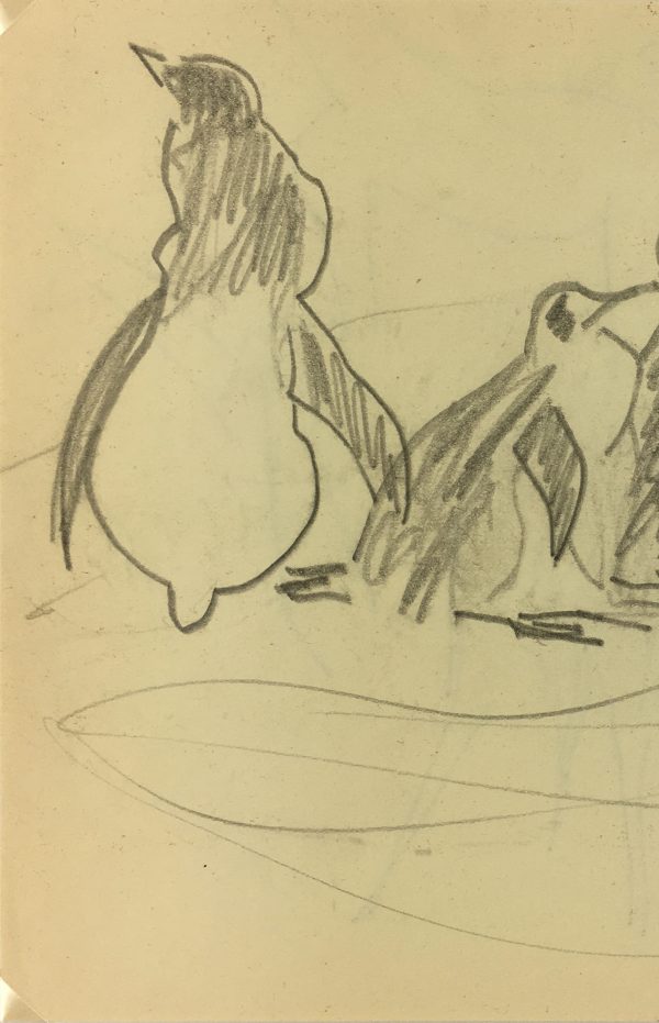 Animals Original Art - Penguins, Zoo de Vincennes, 1995