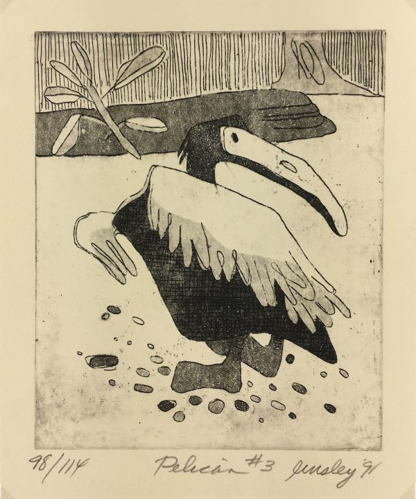 Animals Original Art - Pelican, Linsley, 1991