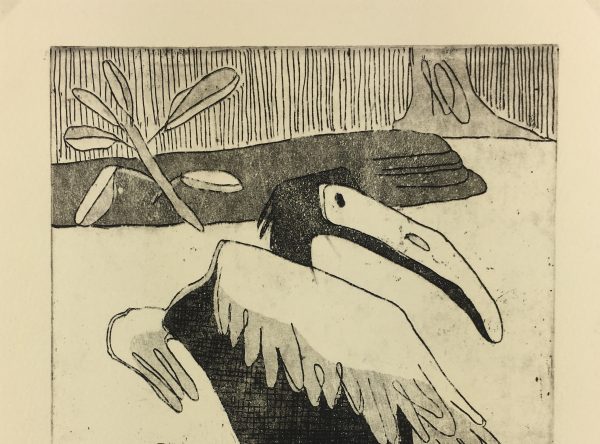 Animals Original Art - Pelican, Linsley, 1991